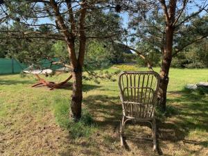 Domek holenderski Jasnotka