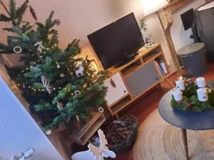 Gite du hérisson - 索略