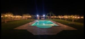 Three-Bedroom Apartment with Private Pool