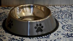 Studio Apartment in Rovinj 3652-2