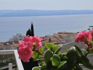 Studio apartment in Duce with sea view, balcony, air conditioning, WiFi 5067-6