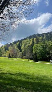 Appartements Appt lumineux, Thermes et Montagne : photos des chambres