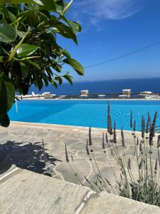 Windmill Bella Vista