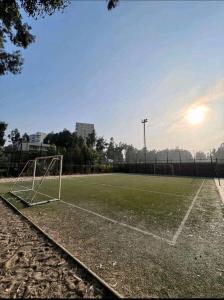 Depto Costa Algarrobo, Mirasol