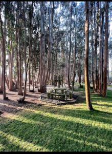 Depto Costa Algarrobo, Mirasol