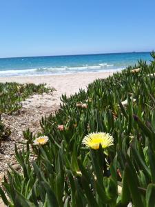 Tasinanta casa vacanze