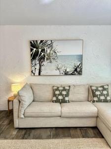 Rainforest paradise in the palms