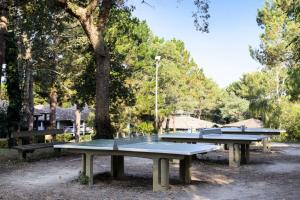 Appartements Village Moliets - maeva Home - 2 Pieces 5 Personnes Confort MAE-2172 : photos des chambres