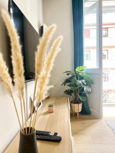 Le Canopé - Centre ville - Gare