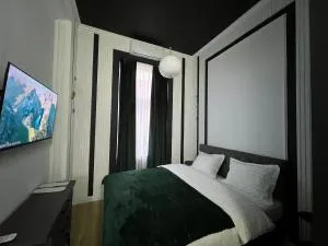 Sincai Studio - Viile Satu Mare