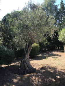 Villa La Tartane - Les Issambres