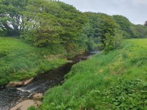 Woodwick Mill - Kiln & Sheafy Apartments