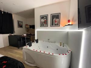 Appartements Orleans Centre - LOVE ROOM - Good Vibes Only BY PRIMO C0NCIERGERIE : photos des chambres