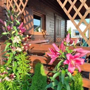 Domki Monte Kristo - Gleźnowo