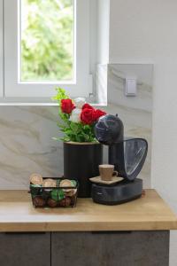 Blue Horizon Suit - Korčula town