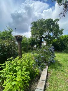 Maisons de vacances Maison avec jardin Orleans metropole : photos des chambres
