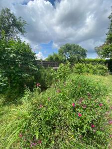 Maisons de vacances Maison avec jardin Orleans metropole : photos des chambres