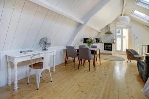 Spacious loft in the centre of Breukelen - 芬克芬