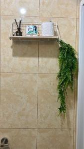 Fernhouse Affordable Cozy Central 2BR Condo Unit in Malate Manila