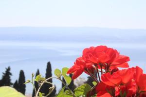 Apartment in Duce with sea view, balcony, air conditioning, W-LAN 5067-4 