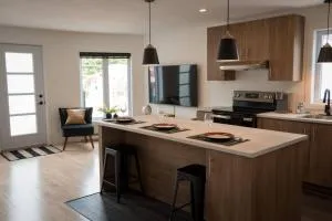 Le Centro - Asbestos