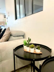 Appartements Bienvenue sur l'Escapade au Canal : photos des chambres