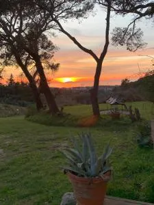 Allulivus - Valle Benedetta