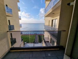 Kitty Studio Sunset Lake