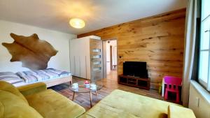 Apartmán Janské lázně