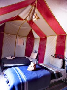 Majestic Mirage Camp