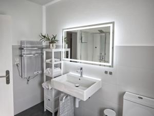 Hermes Apartments Siebengebirge