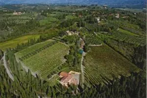 Apt Rebecca - Apartment in Villa in the Vineyard - سترادا