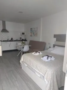 ALAUDAE Apartamentos - Аланхе