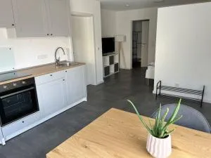 Schönes 1 Zimmer Apartment - Behla