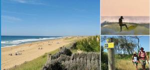 Appartements COTE LANDAISE entre Bayonne et Capbreton : photos des chambres