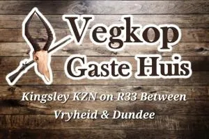 Vegkop Gaste Huis - B&B - Nqutu