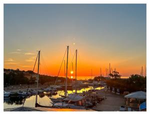 Dalex Home Sardinia img34
