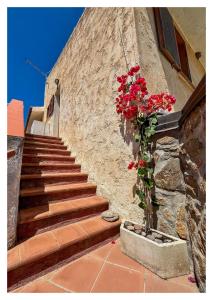 Dalex Home Sardinia img35
