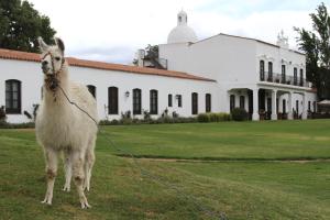 Patios de Cafayate - Wine Hotel & Restaurant