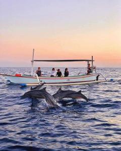 Padi-Padi Pool Villas