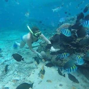 Padi-Padi Pool Villas