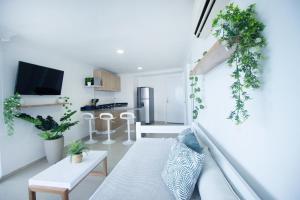 Riviera Tropical - Livin Colombia