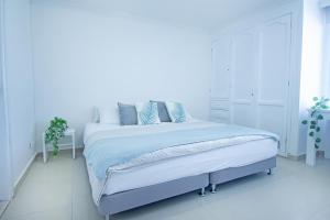 Riviera Tropical - Livin Colombia