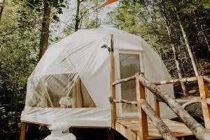 Whispering Waters Dome Getaway - Cosby