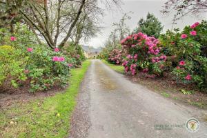 Maisons de vacances Le petit be : photos des chambres