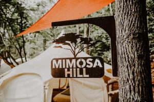 Mimosa Hill Wanderlust Woods