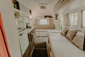Streamside ShinyTiny Airstream in the Smokies