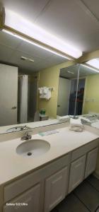 Oceanview Efficiency DW607