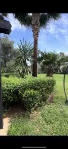 Charming Villa, Breathtaking Garden View - 卡萨布兰卡