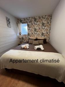 Appartements Les Gites de la Bergerie - Boule de Neige : photos des chambres